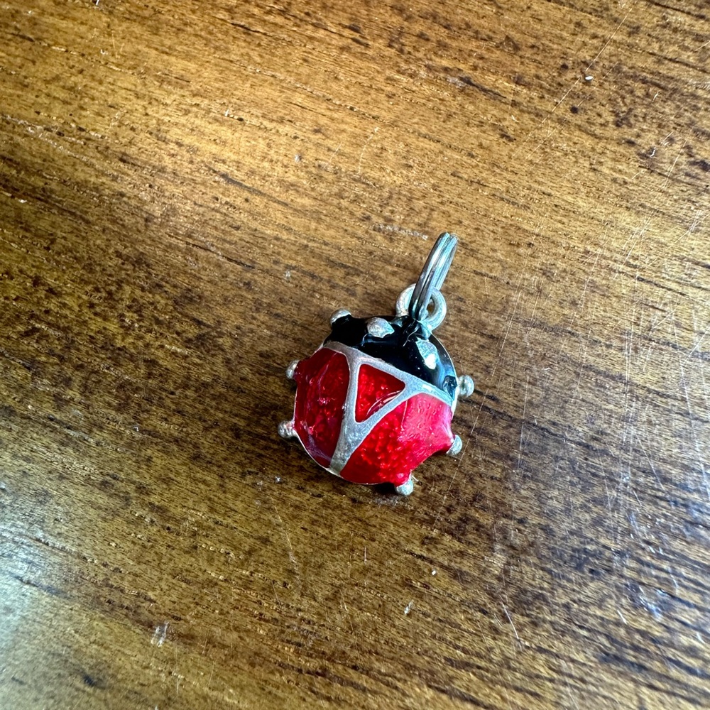 Ladybug Charm